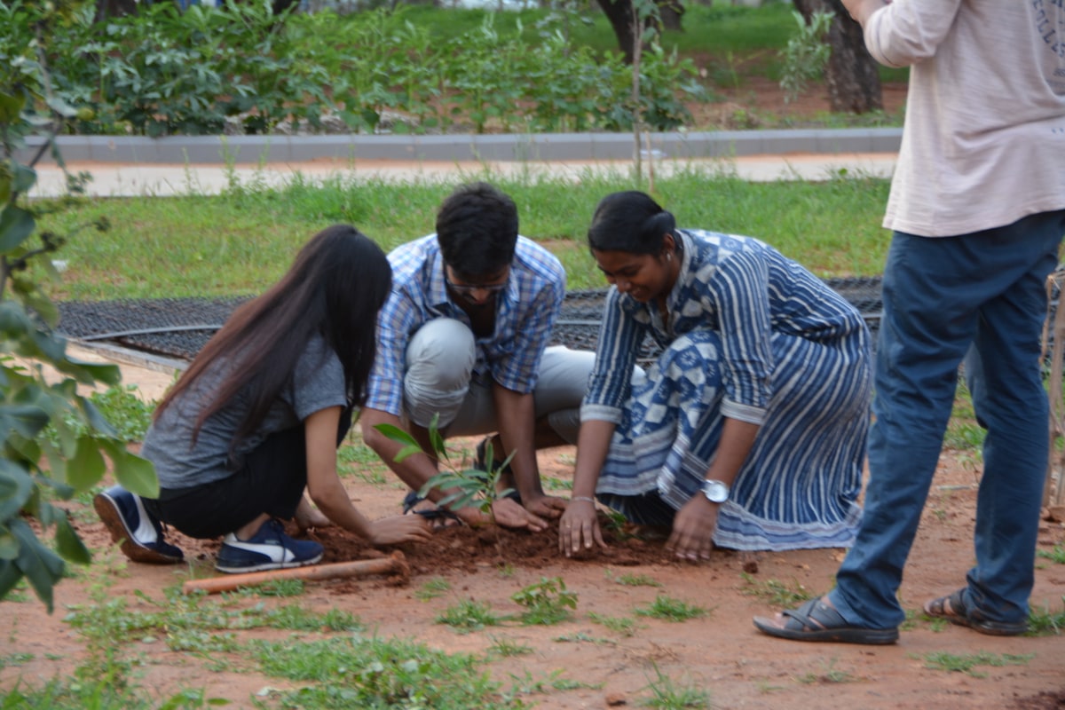 NSS Activity