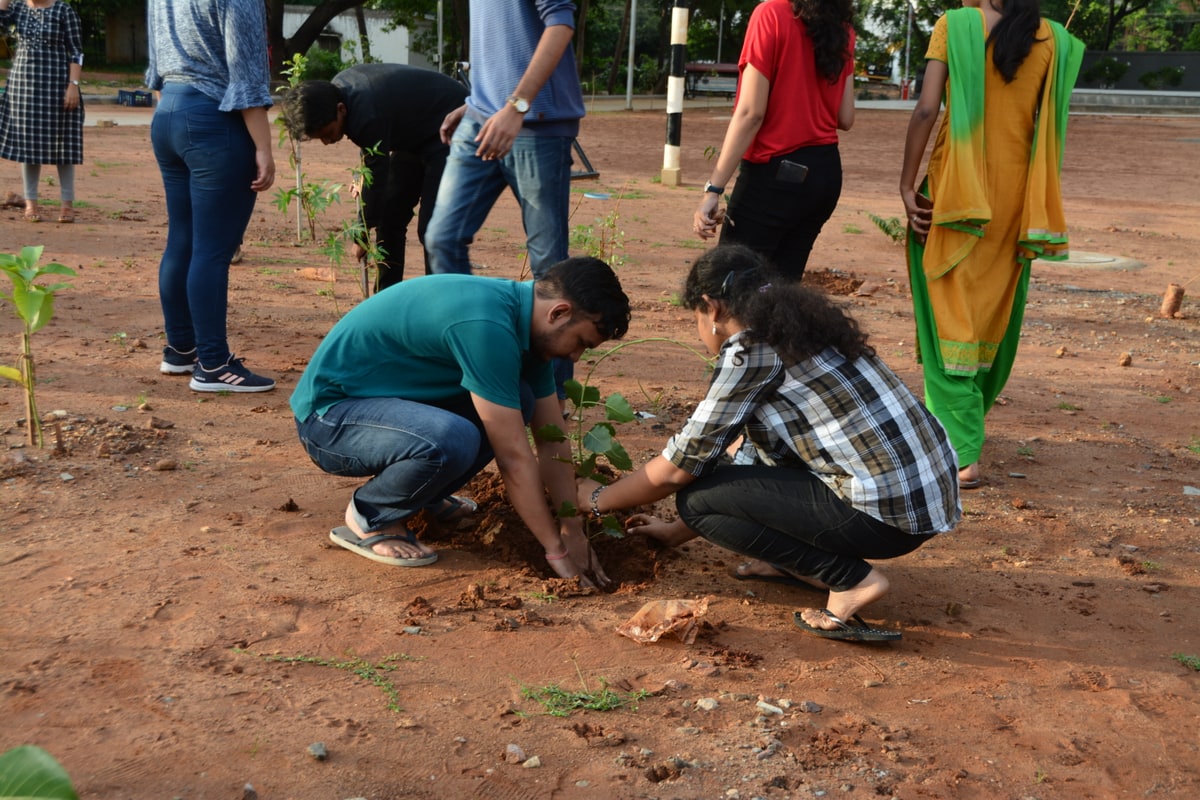 NSS Activity