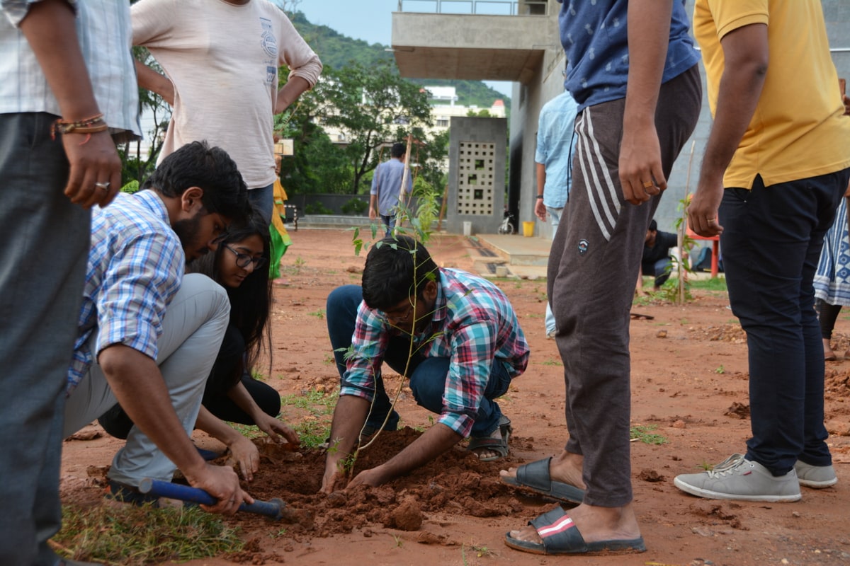 NSS Activity