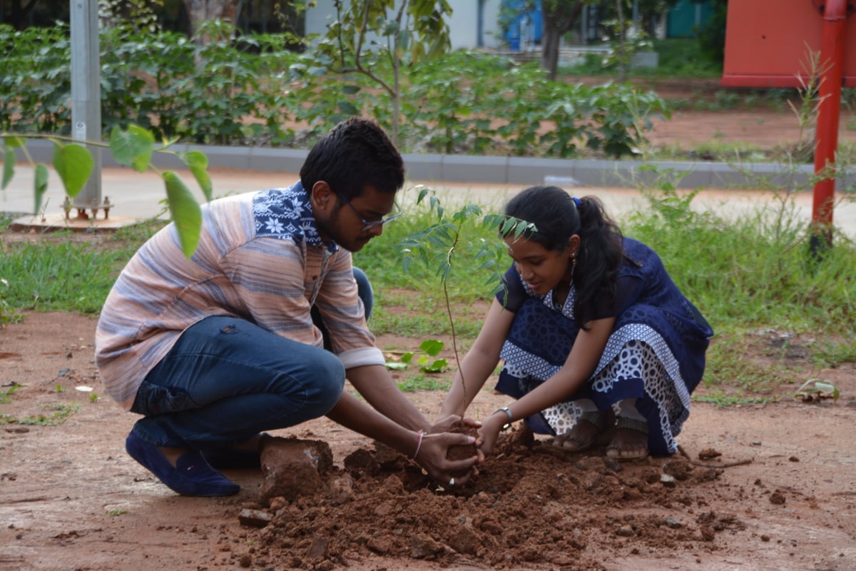 NSS Activity