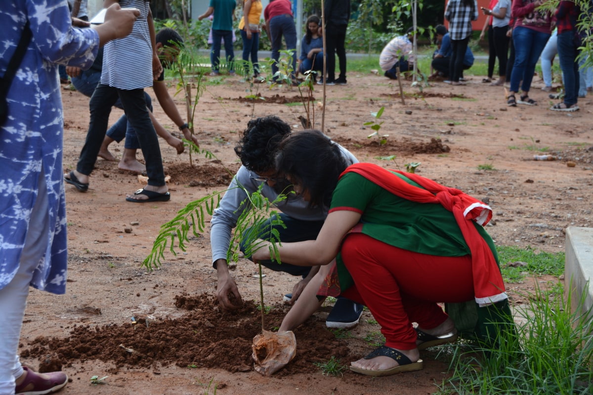 NSS Activity